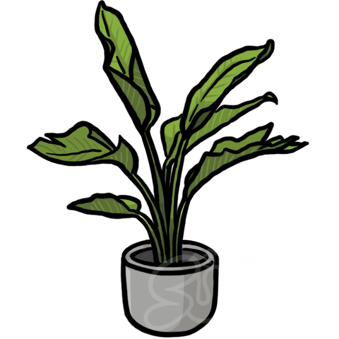 Bird Of Paradise sample - SunnyDraws