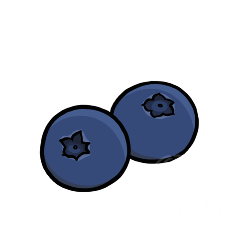 Blueberries sample - SunnyDraws