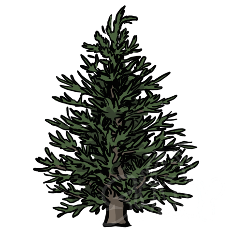 Christmas Tree sample - SunnyDraws