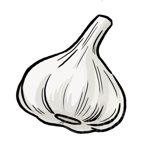 Garlic sample - SunnyDraws