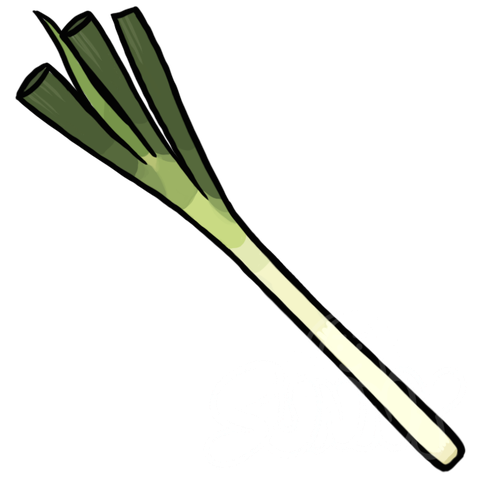 Japanese Leek(Naganegi) sample - SunnyDraws