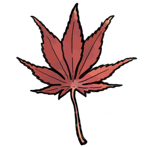 Japanese Maple sample - SunnyDraws