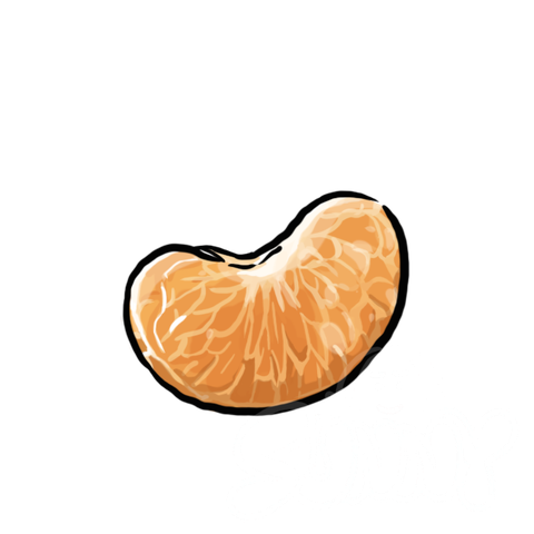 Orange Segment sample - SunnyDraws