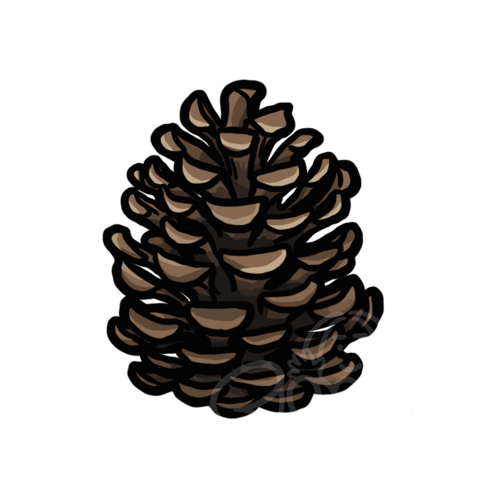 Pinecone sample - SunnyDraws