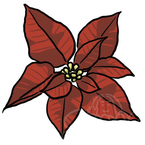 Poinsettia sample - SunnyDraws