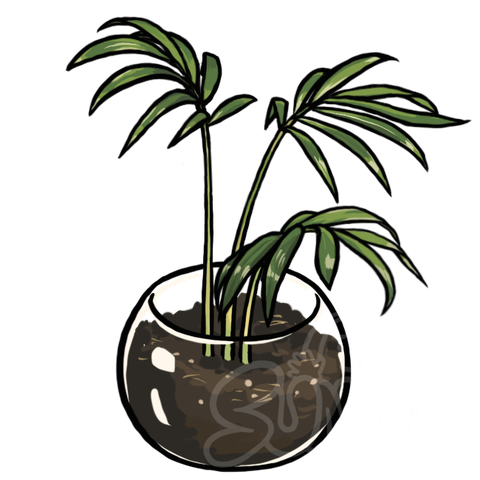 Table Palm sample - SunnyDraws