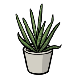 Aloe thumbnail - SunnyDraws