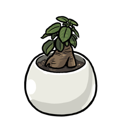 Banyan