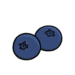 Blueberries thumbnail - SunnyDraws