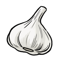 Garlic