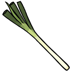 Japanese Leek(Naganegi)