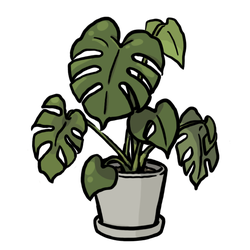 Monstera thumbnail - SunnyDraws