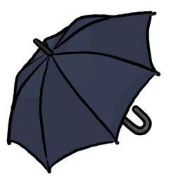 Opened Umbrella(Navy Blue)