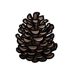 Pinecone thumbnail - SunnyDraws