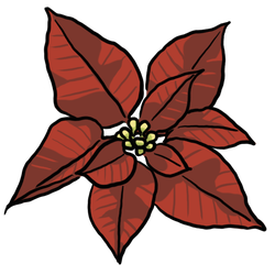 Poinsettia thumbnail - SunnyDraws