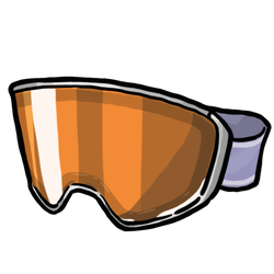 Ski Goggles