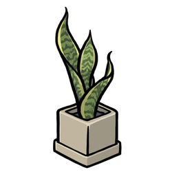 Snake Plant thumbnail - SunnyDraws