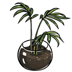 Table Palm thumbnail - SunnyDraws